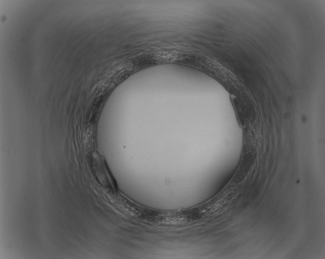 X0000067950601200605041828