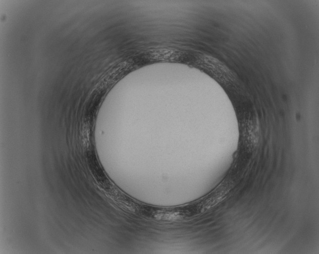 X0000067950602200605041828