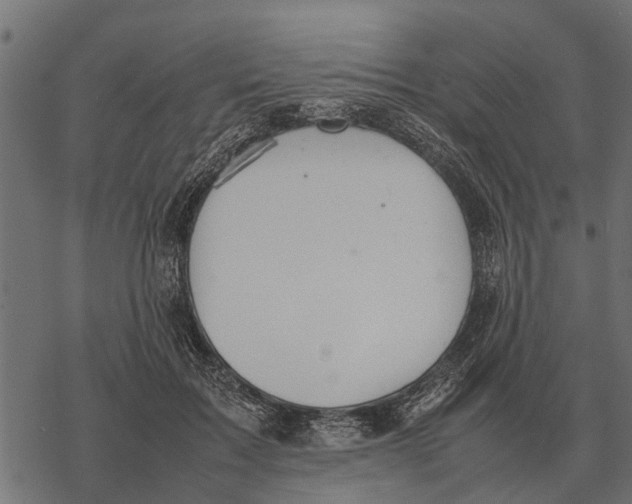 X0000067950603200605041828