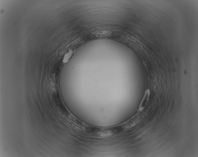 X0000067950604200605041828