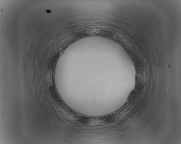 X0000067950605200605041828