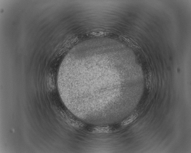 X0000067950606200605041827