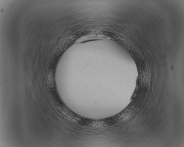 X0000067950609200605041827