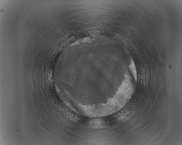 X0000067950610200605041827