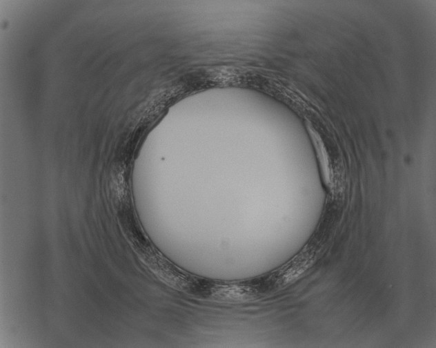 X0000067950611200605041827