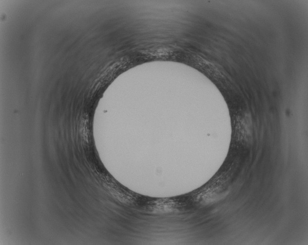 X0000067950612200605041827