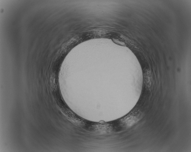 X0000067950615200605041827