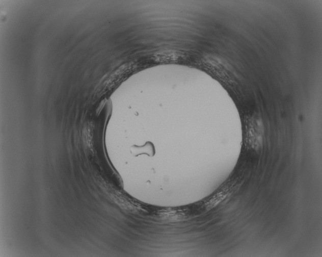 X0000067950616200605041827