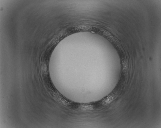 X0000067950617200605041827