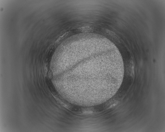 X0000067950618200605041827