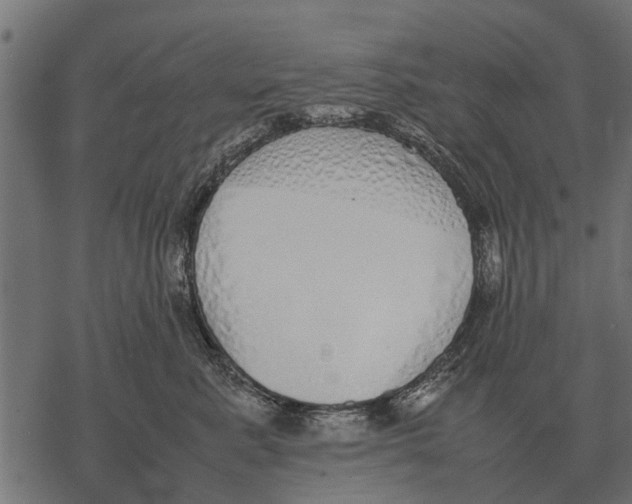 X0000067950619200605041827