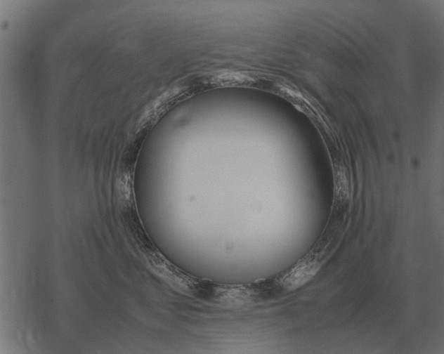 X0000067950621200605041827