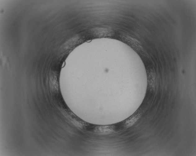 X0000067950622200605041827