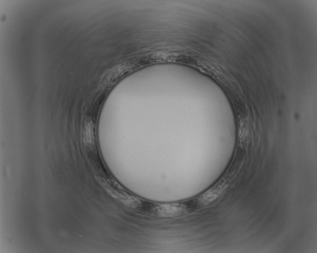 X0000067950623200605041827