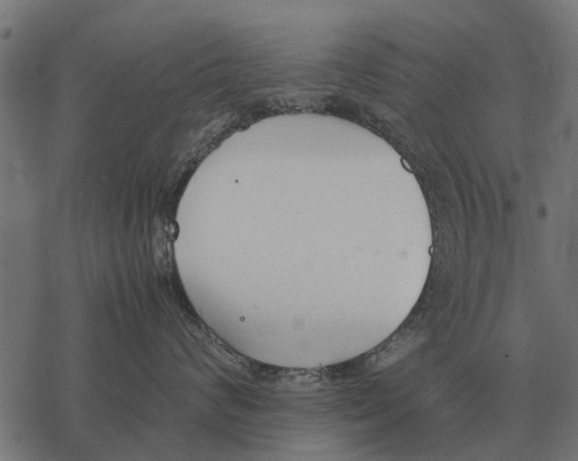 X0000067950624200605041827