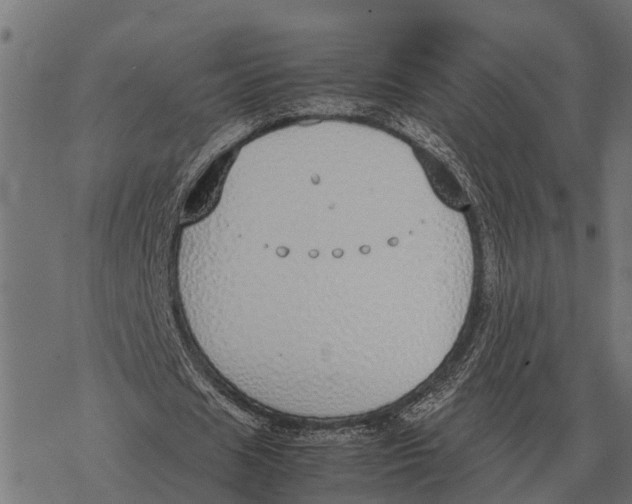 X0000067950625200605041826