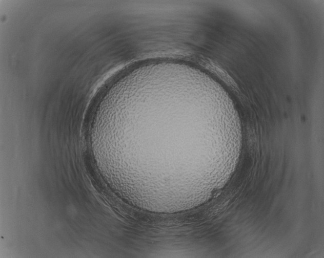 X0000067950628200605041826