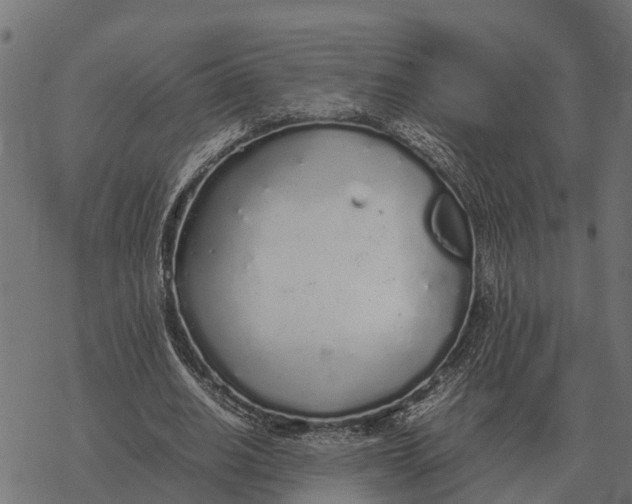 X0000067950630200605041827