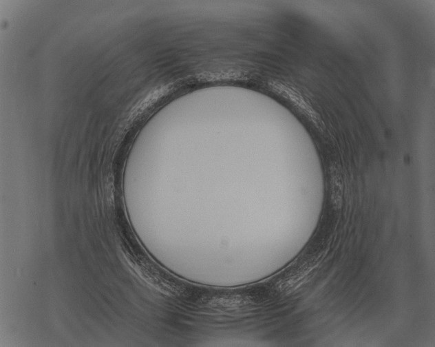 X0000067950631200605041827