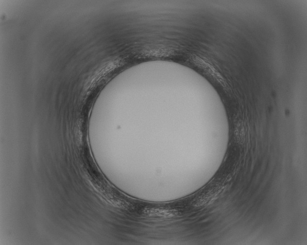 X0000067950635200605041827