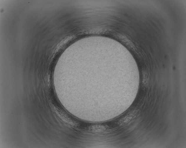 X0000067950636200605041827