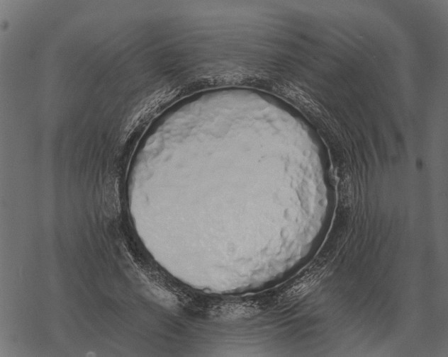 X0000067950638200605041827