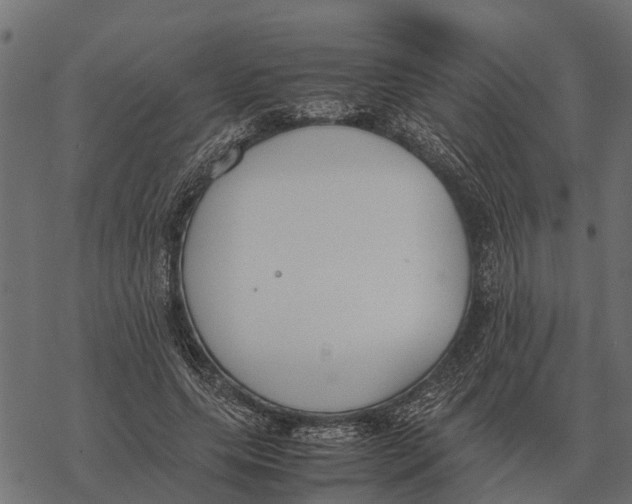 X0000067950639200605041827