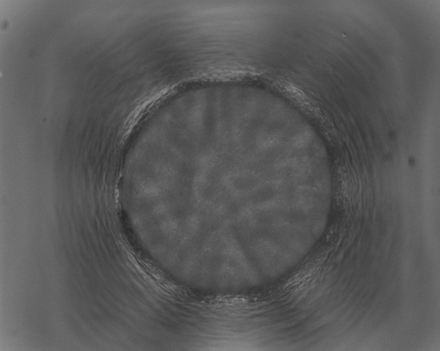 X0000067950640200605041827