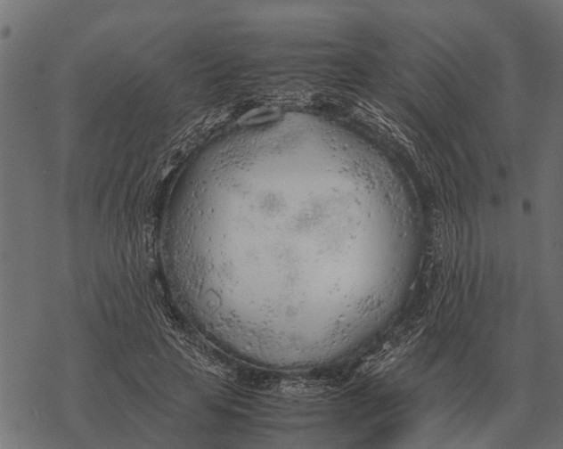 X0000067950641200605041827