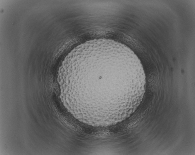 X0000067950642200605041827