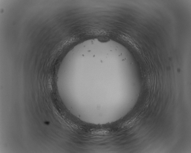 X0000067950643200605041827