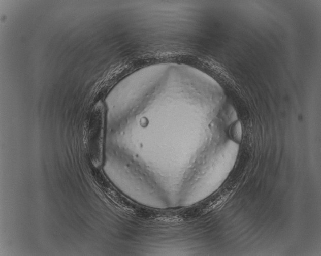 X0000067950644200605041827