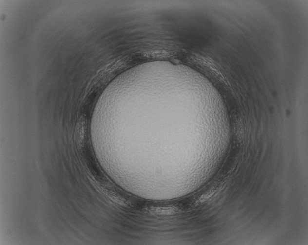 X0000067950645200605041827