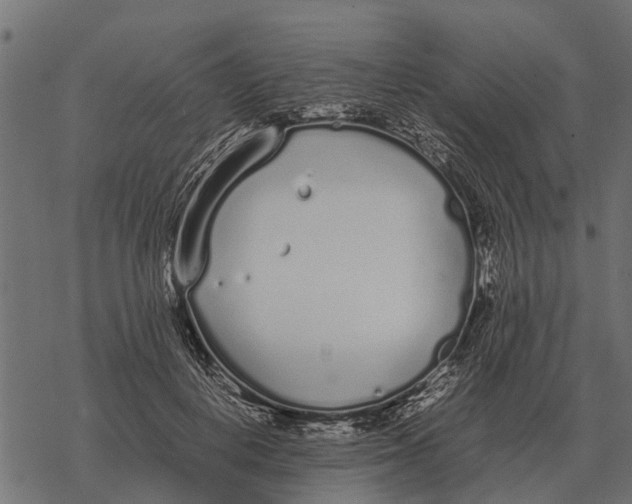 X0000067950648200605041827