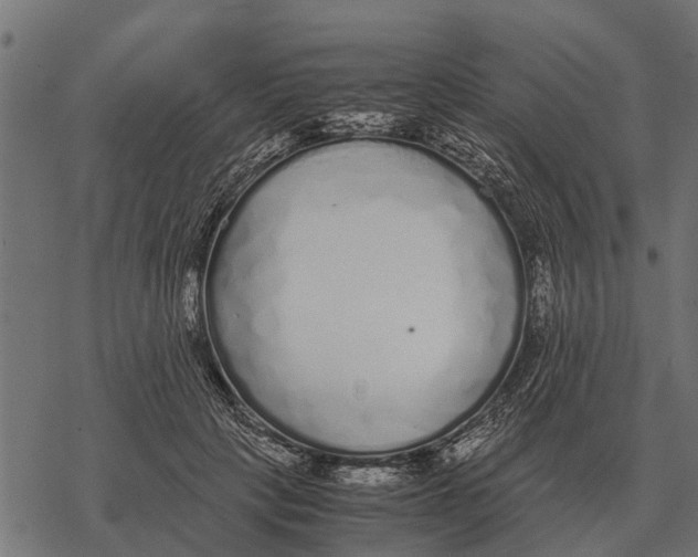 X0000067950649200605041827