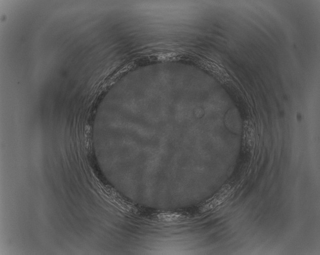 X0000067950650200605041827