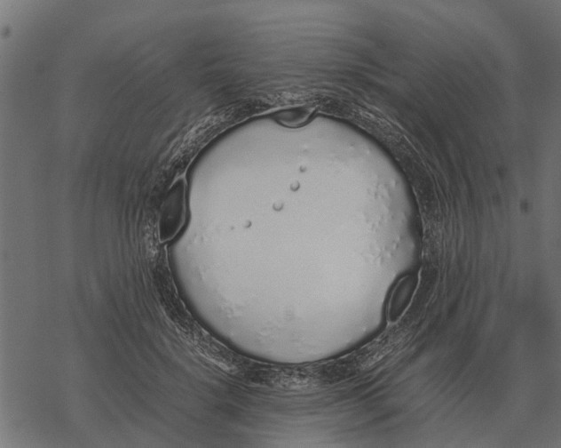 X0000067950652200605041827