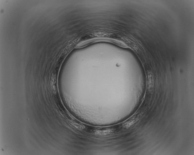 X0000067950653200605041827