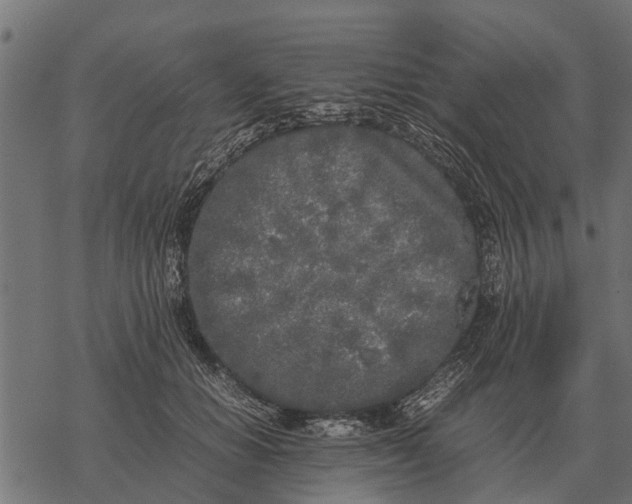 X0000067950654200605041827