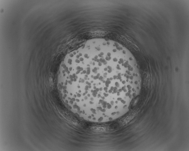 X0000067950655200605041827