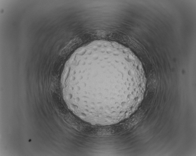 X0000067950656200605041827