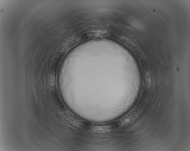 X0000067950657200605041827