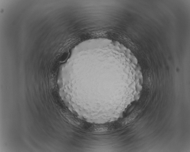 X0000067950658200605041827