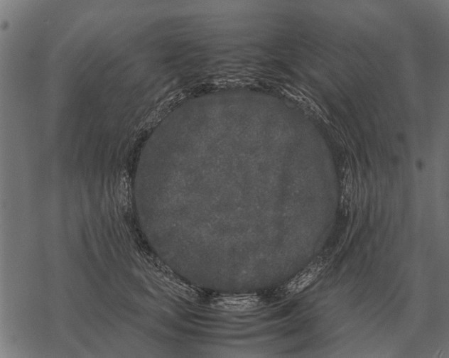 X0000067950659200605041827