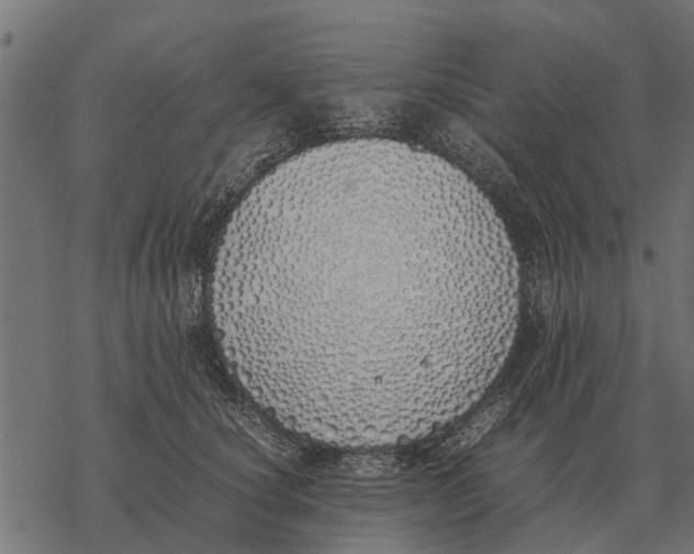 X0000067950660200605041827