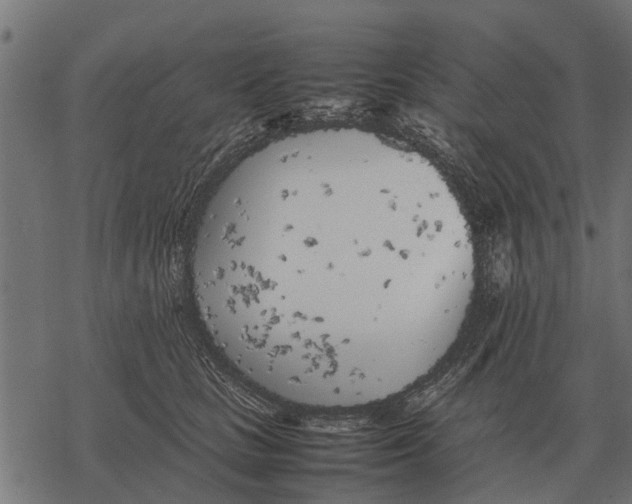 X0000067950661200605041827