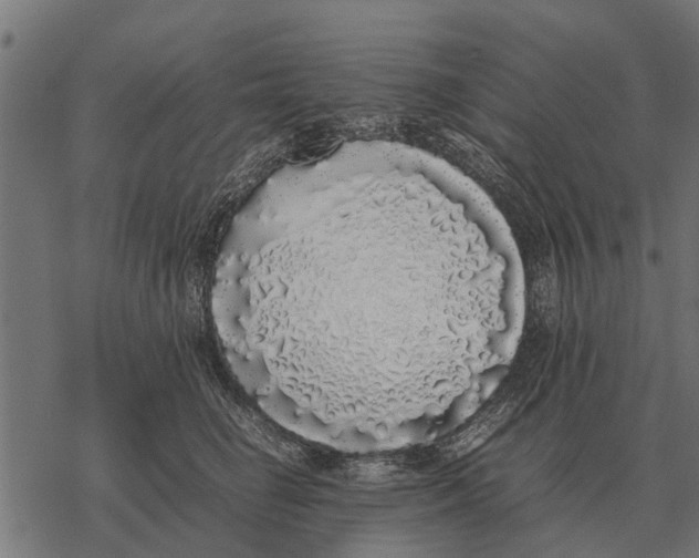 X0000067950662200605041827