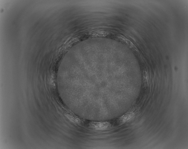 X0000067950663200605041827