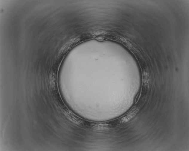 X0000067950664200605041827