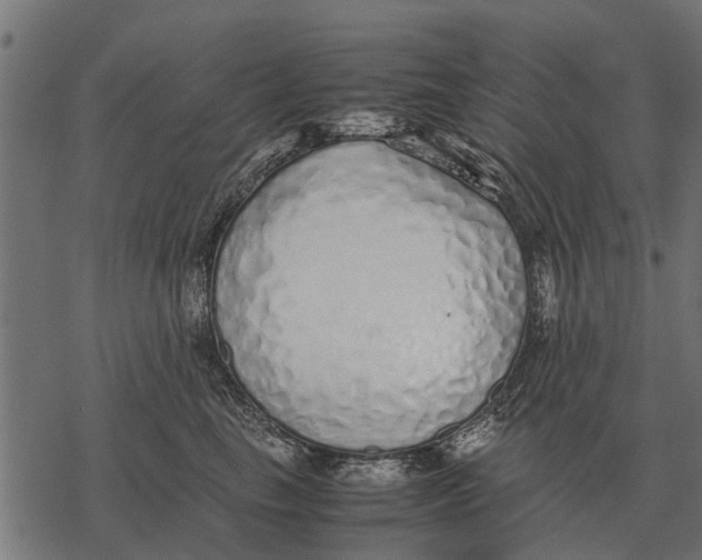 X0000067950665200605041827